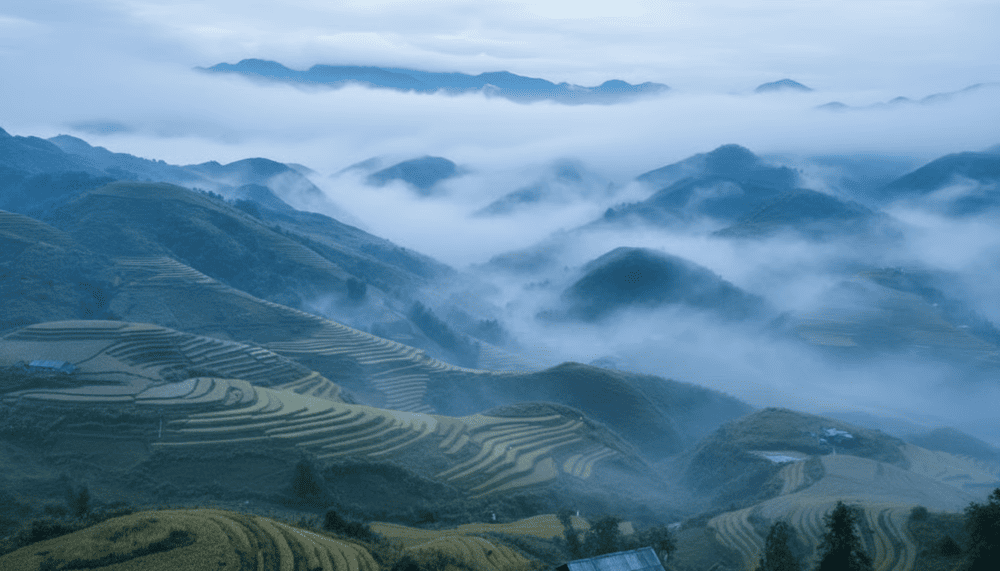 If you love the sight of golden fields, the harvest season in Ta Phin is not to be missed